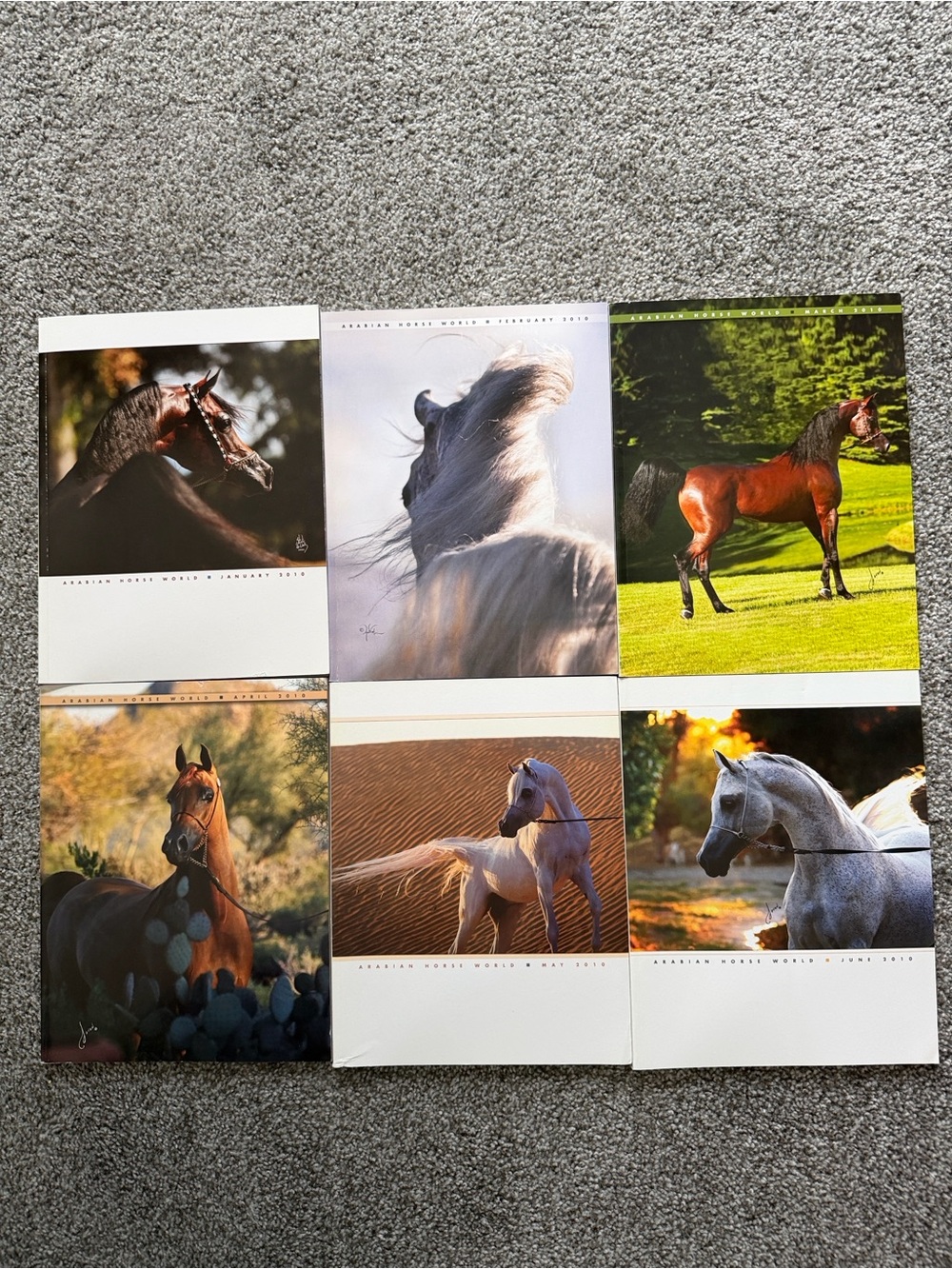 Arabian Horse World Magazines 2010